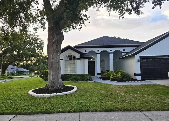 Pool House Best Location In Wesley Chapel